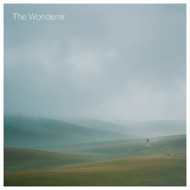 The Wonderer