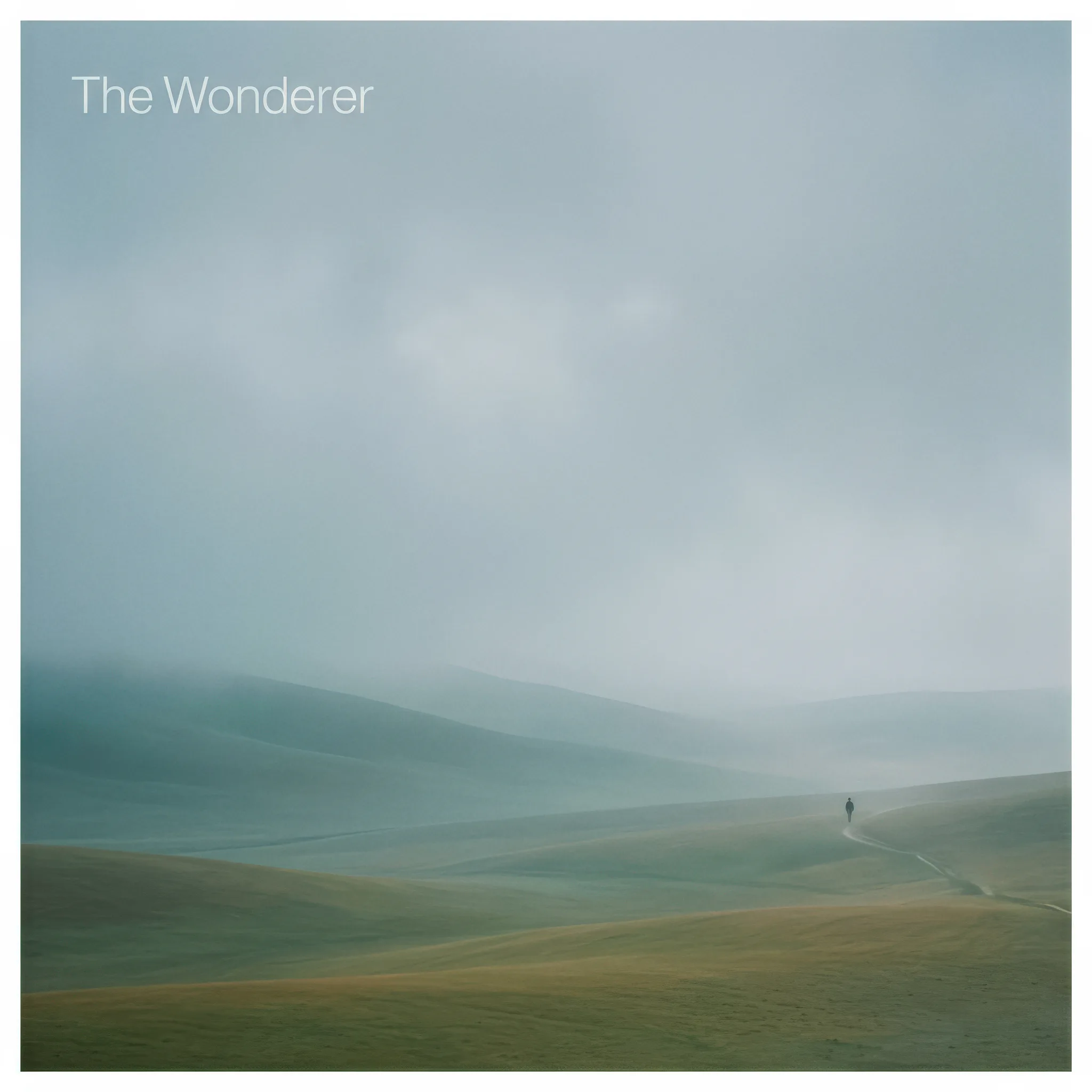 The Wonderer